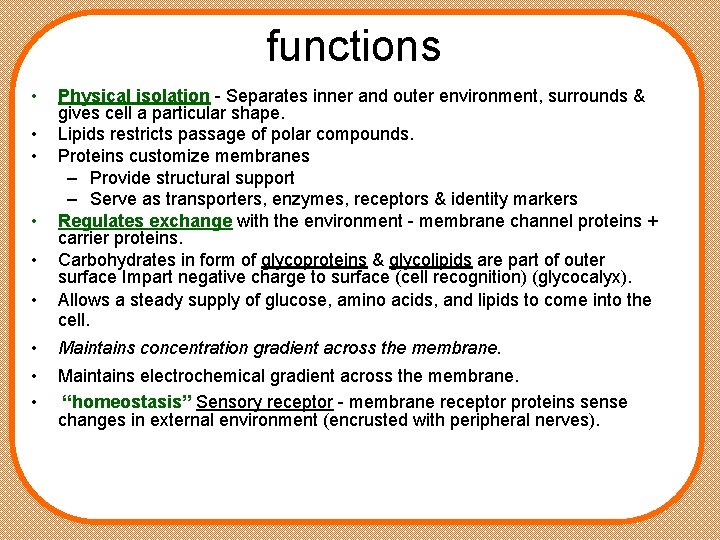 functions • • • Physical isolation - Separates inner and outer environment, surrounds &