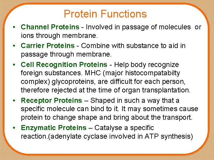 Protein Functions • Channel Proteins - Involved in passage of molecules or ions through