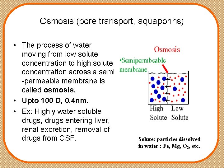 Osmosis (pore transport, aquaporins) • The process of water moving from low solute concentration