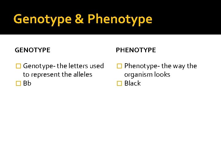 Genotype & Phenotype GENOTYPE PHENOTYPE � Genotype- the letters used � Phenotype- the way