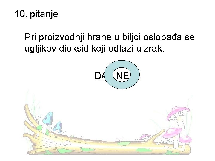 10. pitanje Pri proizvodnji hrane u biljci oslobađa se ugljikov dioksid koji odlazi u