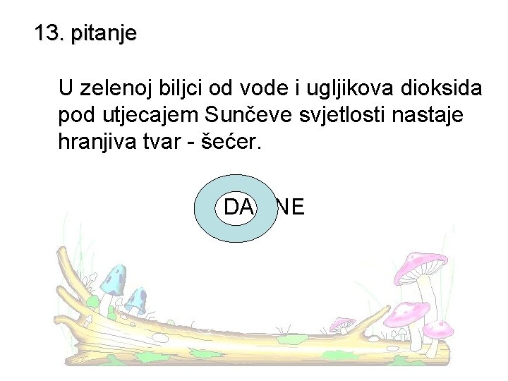 13. pitanje U zelenoj biljci od vode i ugljikova dioksida pod utjecajem Sunčeve svjetlosti