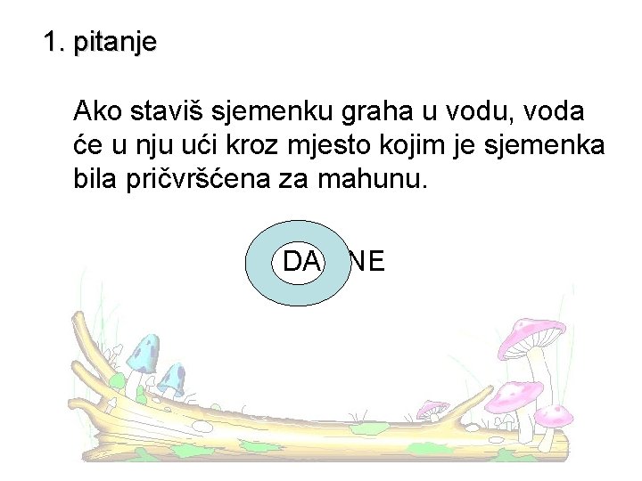 1. pitanje Ako staviš sjemenku graha u vodu, voda će u nju ući kroz