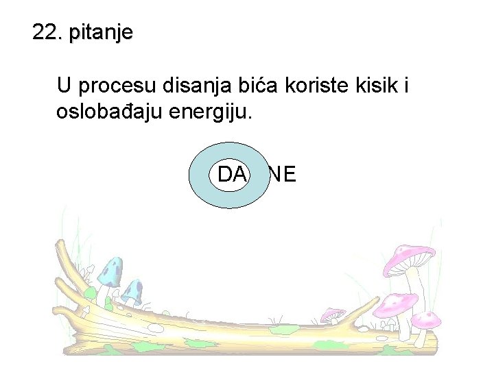 22. pitanje U procesu disanja bića koriste kisik i oslobađaju energiju. DA - NE