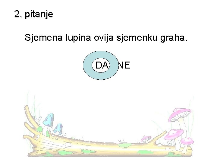 2. pitanje Sjemena lupina ovija sjemenku graha. DA - NE 