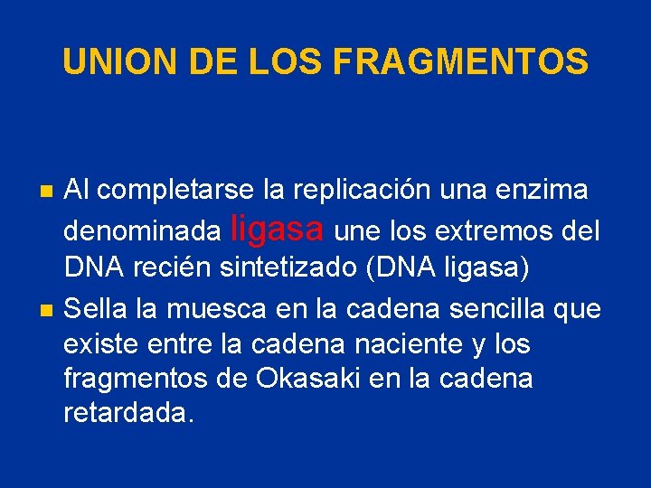 UNION DE LOS FRAGMENTOS Al completarse la replicación una enzima denominada ligasa une los