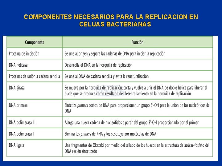 COMPONENTES NECESARIOS PARA LA REPLICACION EN CELUAS BACTERIANAS 