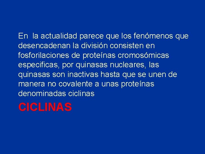 En la actualidad parece que los fenómenos que desencadenan la división consisten en fosforilaciones