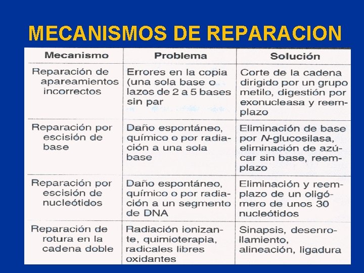 MECANISMOS DE REPARACION 