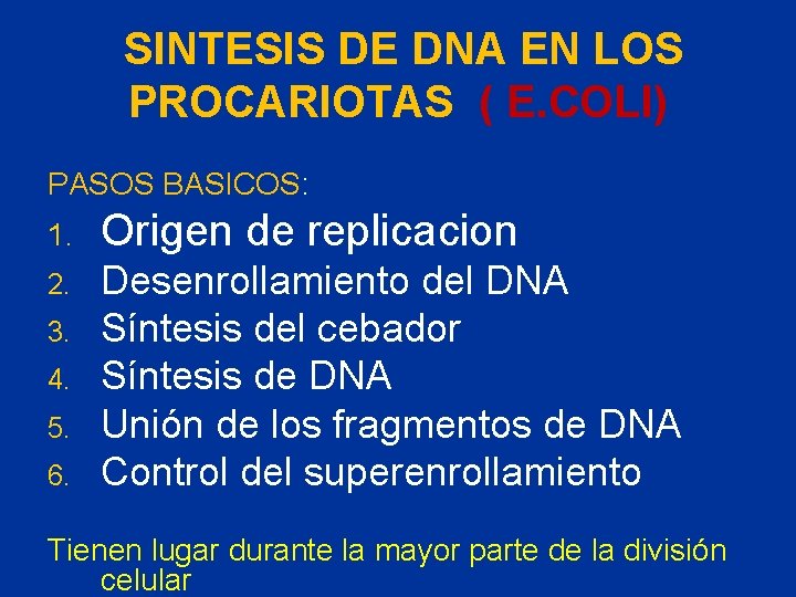 SINTESIS DE DNA EN LOS PROCARIOTAS ( E. COLI) PASOS BASICOS: 1. Origen de