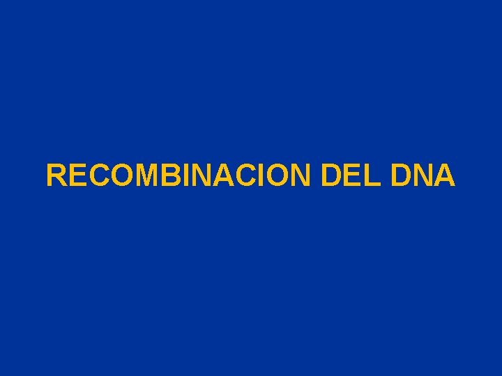 RECOMBINACION DEL DNA 