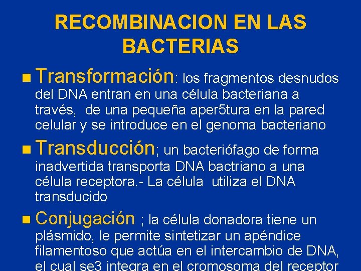 RECOMBINACION EN LAS BACTERIAS n Transformación: los fragmentos desnudos del DNA entran en una