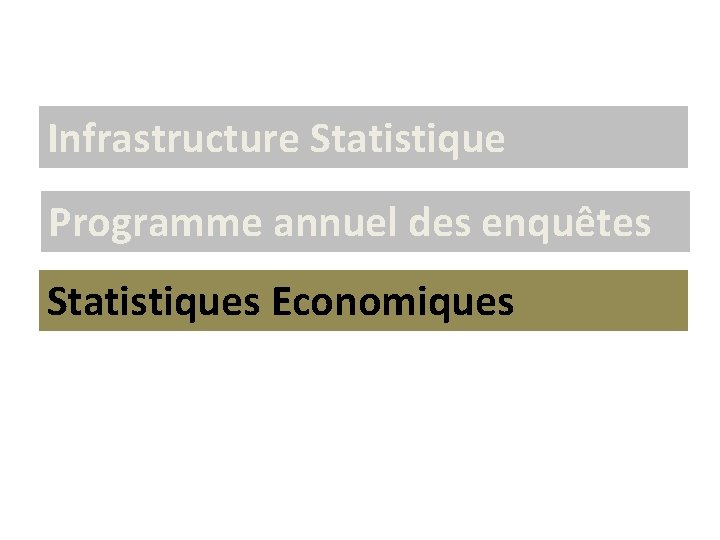 Infrastructure Statistique Programme annuel des enquêtes Statistiques Economiques 