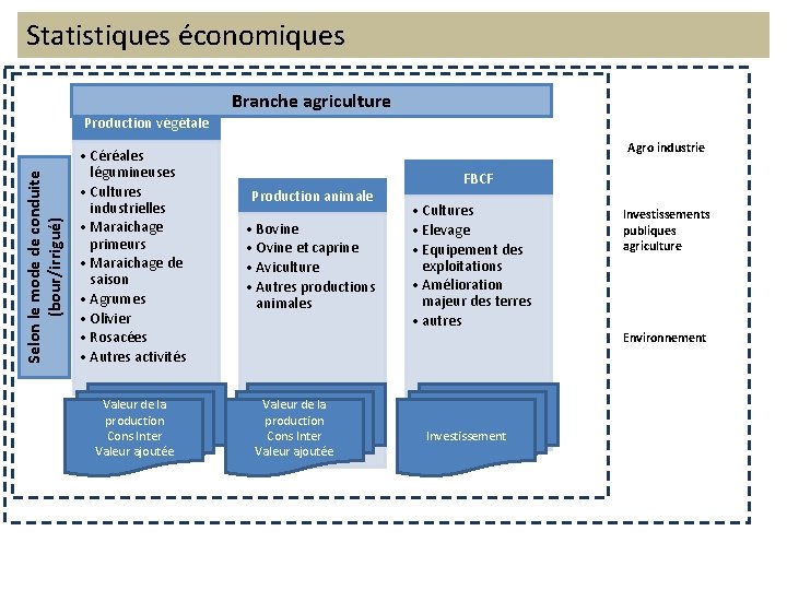 Statistiques économiques Branche agriculture Selon le mode de conduite (bour/irrigué) Production végétale • Céréales