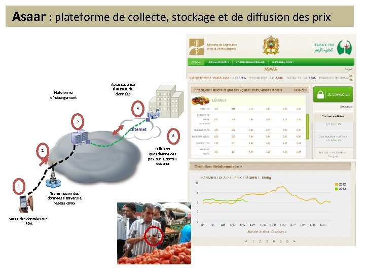 Asaar : plateforme de collecte, stockage et de diffusion des prix Orientation essentiellement statistique