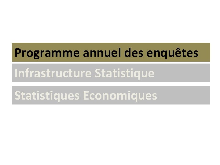 Programme annuel des enquêtes Infrastructure Statistiques Economiques 