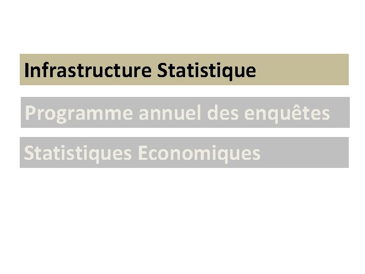 Infrastructure Statistique Programme annuel des enquêtes Statistiques Economiques 