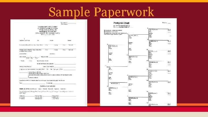 Sample Paperwork 