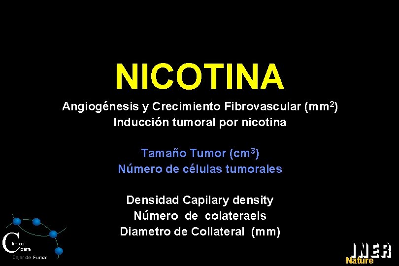 NICOTINA Angiogénesis y Crecimiento Fibrovascular (mm 2) Inducción tumoral por nicotina Tamaño Tumor (cm