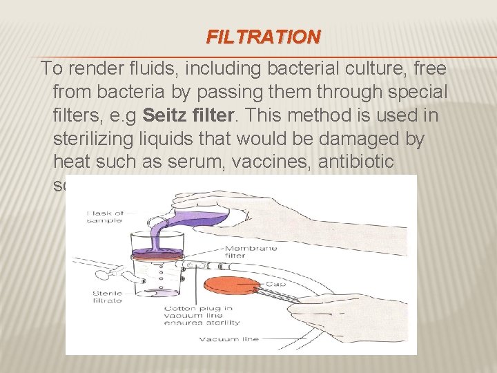 FILTRATION To render fluids, including bacterial culture, free from bacteria by passing them through