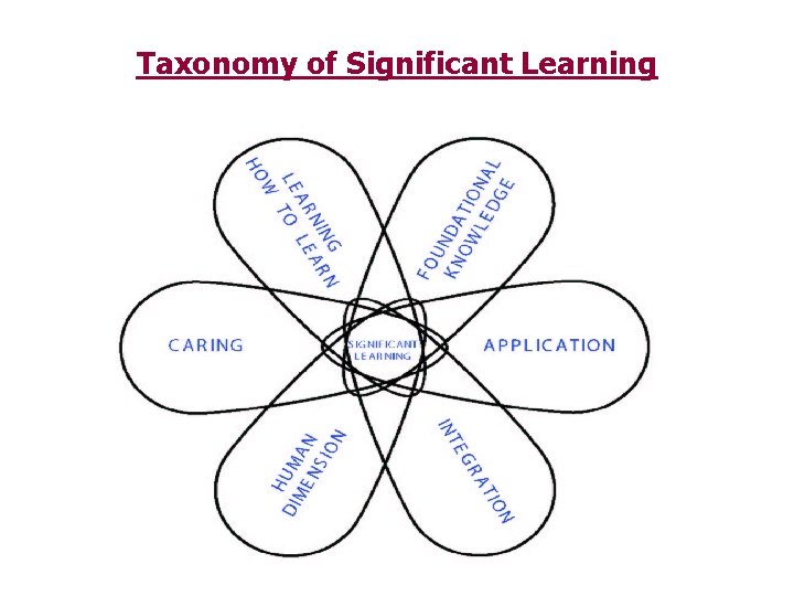 Taxonomy of Significant Learning 