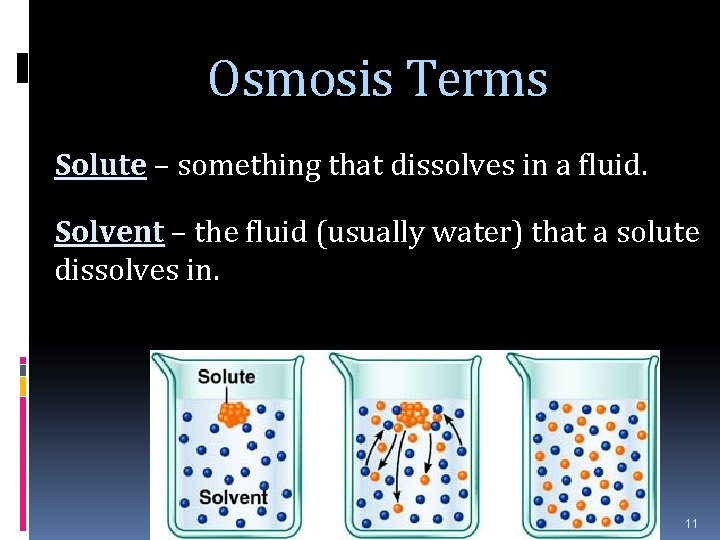 Osmosis Terms Solute – something that dissolves in a fluid. Solvent – the fluid