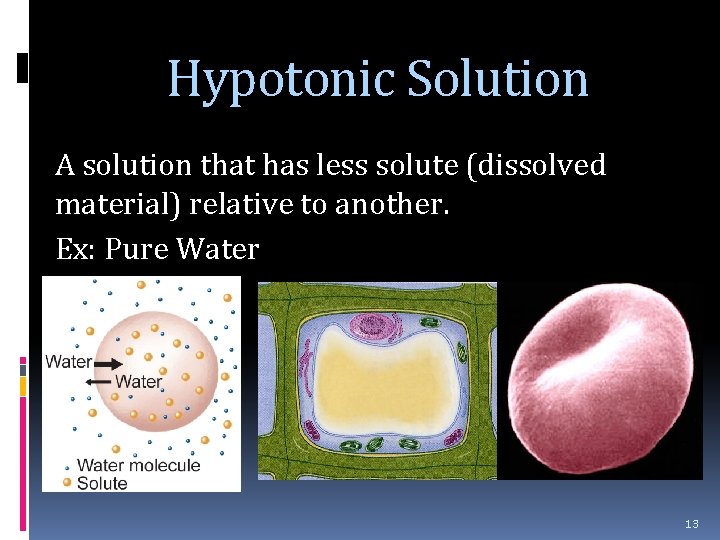 Hypotonic Solution A solution that has less solute (dissolved material) relative to another. Ex: