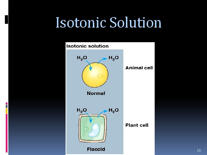 Isotonic Solution 15 