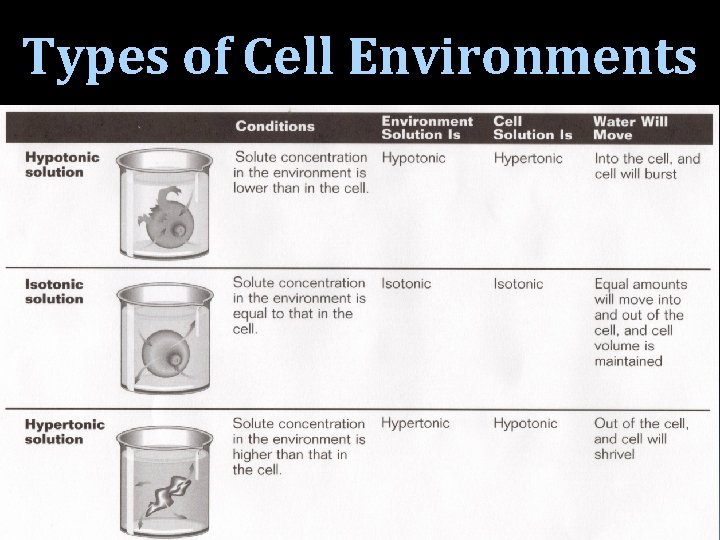 Types of Cell Environments 19 