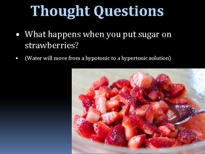 Thought Questions • What happens when you put sugar on strawberries? • (Water will