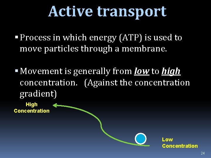 Active transport Process in which energy (ATP) is used to move particles through a
