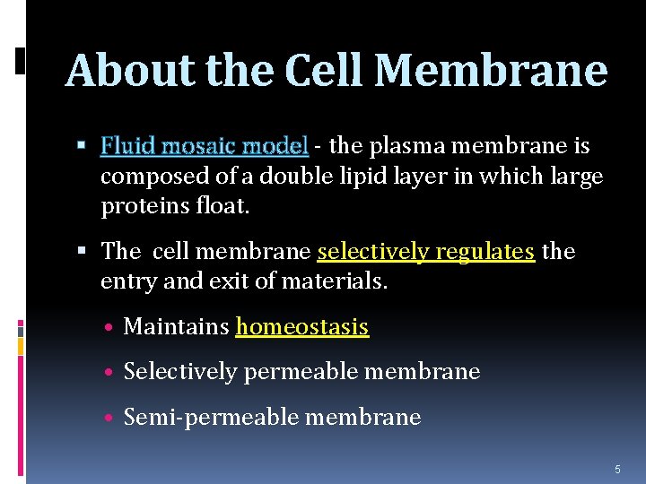About the Cell Membrane Fluid mosaic model - the plasma membrane is composed of