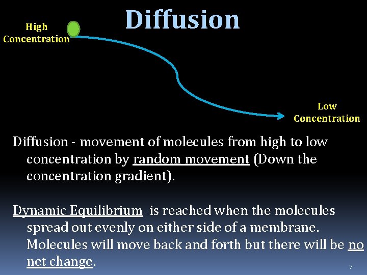 High Concentration Diffusion Low Concentration Diffusion - movement of molecules from high to low