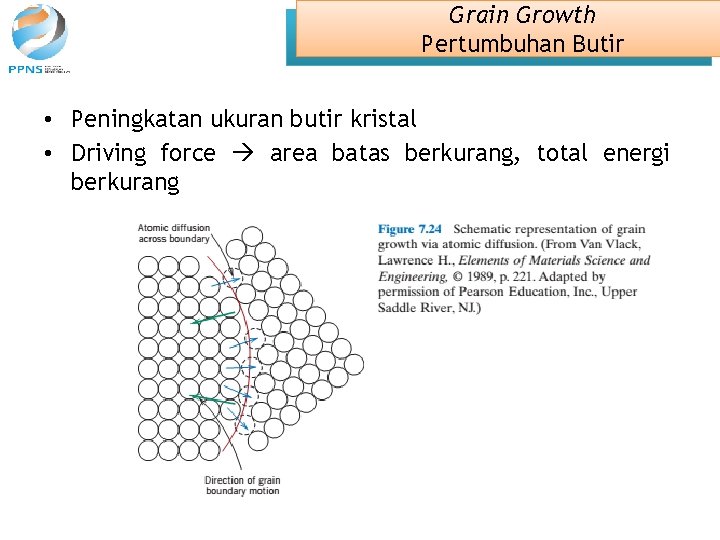 Grain Growth Pertumbuhan Butir • Peningkatan ukuran butir kristal • Driving force area batas