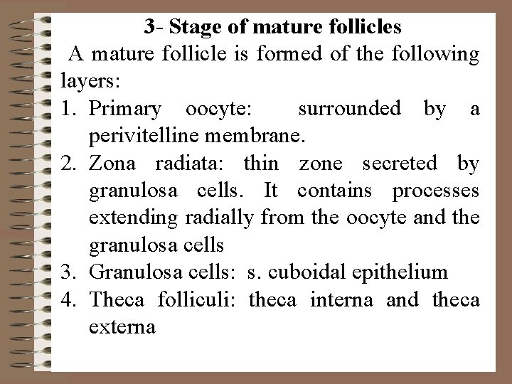 3 - Stage of mature follicles A mature follicle is formed of the following