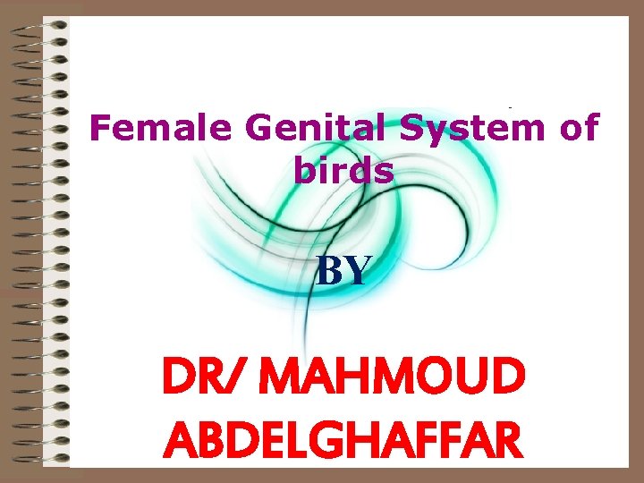 Female Genital System of birds BY DR/ MAHMOUD ABDELGHAFFAR 