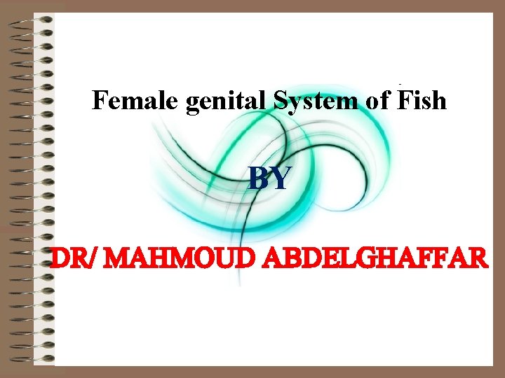 Female genital System of Fish BY DR/ MAHMOUD ABDELGHAFFAR 