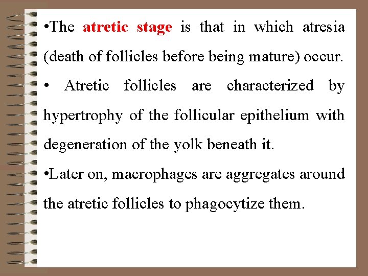  • The atretic stage is that in which atresia (death of follicles before