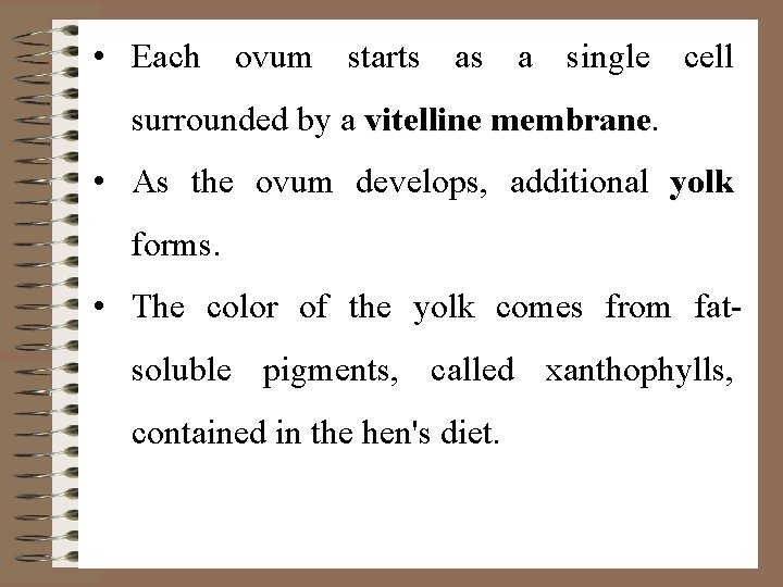  • Each ovum starts as a single cell surrounded by a vitelline membrane