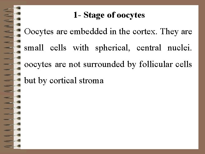 1 - Stage of oocytes Oocytes are embedded in the cortex. They are small