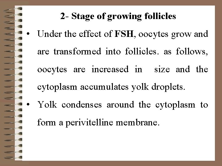 2 - Stage of growing follicles • Under the effect of FSH, oocytes grow