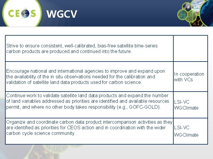 WGCV Strive to ensure consistent, well-calibrated, bias-free satellite time-series carbon products are produced and