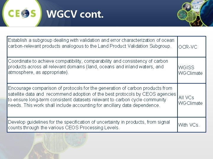 WGCV cont. Establish a subgroup dealing with validation and error characterization of ocean carbon-relevant