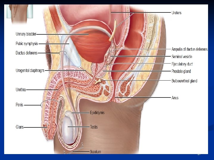 THANK YOU & GOOD LUCK 27  THANK YOU & GOOD LUCK 27