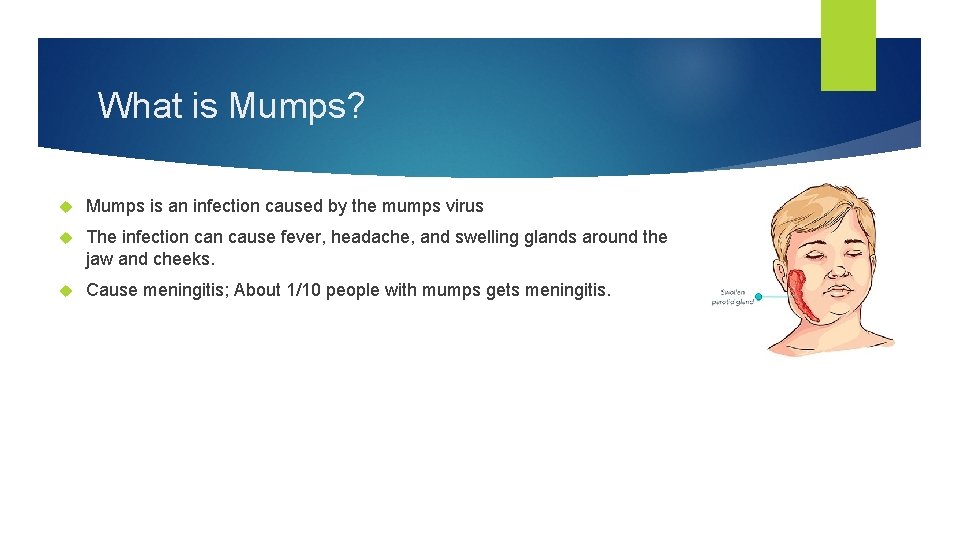 What is Mumps? Mumps is an infection caused by the mumps virus The infection