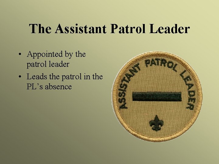 The Assistant Patrol Leader • Appointed by the patrol leader • Leads the patrol