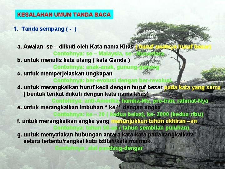 KESALAHAN UMUM TANDA BACA 1. Tanda sempang ( - ) a. Awalan se –