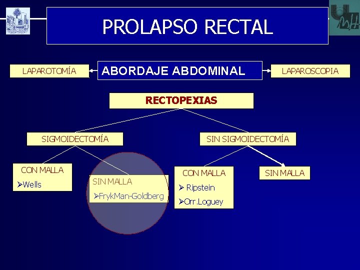 PROLAPSO RECTAL LAPAROTOMÍA ABORDAJE ABDOMINAL LAPAROSCOPIA RECTOPEXIAS SIGMOIDECTOMÍA CON MALLA ØWells SIN MALLA ØFryk.