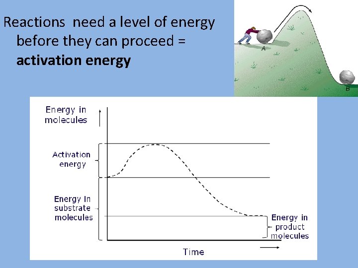 Reactions need a level of energy before they can proceed = activation energy 