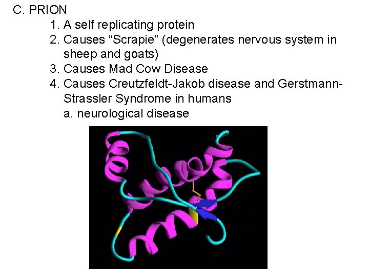 C. PRION 1. A self replicating protein 2. Causes “Scrapie” (degenerates nervous system in